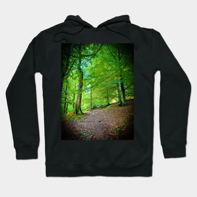 Cotswolds Forest Bridleway Hoodie by Graz-Photos